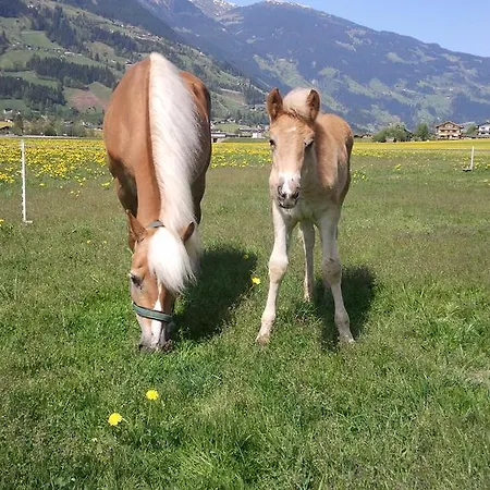 Apartmán Larchergut Mayrhofen