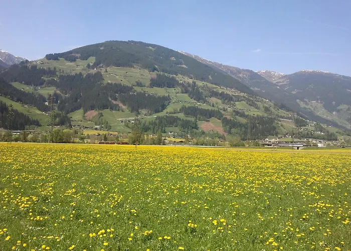 Larchergut Апартаменты *