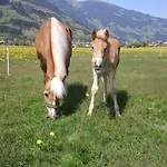 Apartamento Larchergut Mayrhofen